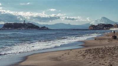 جسم غريب يثير الرعب بأحد الشواطئ (صور)