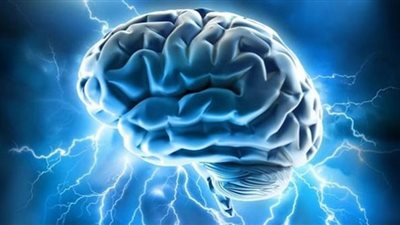 أغذية تحسن صحة الدماغ.. طبيبة توضح