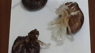 سقوط عاطل بـ30 طربة حشيش وكيلو أفيون