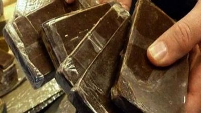 حبس عاطلين متهمين بالاتجار في الحشيش بعين شمس