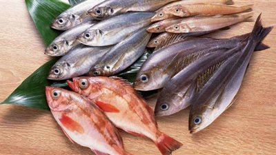 البلطي بـ 30 جنيهًا.. أسعار الأسماك اليوم السبت