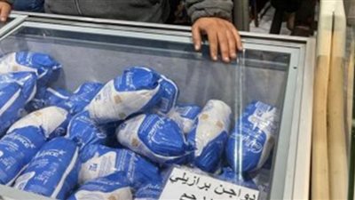 أسعار وأماكن بيع الدواجن البرازيلي