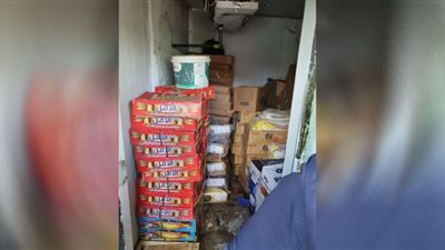 بيطري كفر الشيخ: ضبط لحوم غير صالحة وأسماك مجهولة المصدر