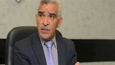 نقيب المأذونين يكشف تفاصيل التوقف عن إتمام عقود الزواج (فيديو)