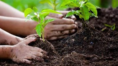 محافظ أسيوط يوجه تنفيذ أعمال المبادرة الرئاسية 