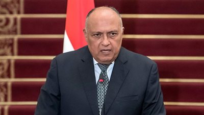 وزير خارجية مصر يصل دمشق