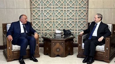 شكري ينقل رسالة تضامن ومؤازرة مصر للأشقاء في سوريا