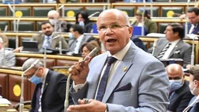 السيد شمس الدين: مصر قادرة على مواجهة كل الصعاب