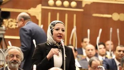 برلمانيه تكشف عن استراتيجية مكافحة البطالة.. لمواجهة تداعيات الأزمات العالمية
