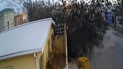 زلازل فبراير.. كلابُ تعوي وطيور تقف كالإنسان والعلماء حائرون