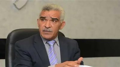 نقيب المأذونين يكشف مصير الشهادة الصحية القديمة لفحص المقبلين على الزواج (فيديو)