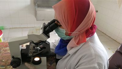 الكشف على 1781 مريضًا بقرية منشأة النصر بالدقهلية