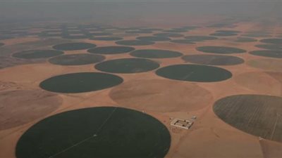 مطر الإسكندرية السبيل إلى عمار الدلتا الجديدة