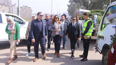 دمياط تزرع 100 ألف شجرة مثمرة بالشوارع (فيديو)