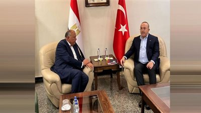 وزير الخارجية: المساعدات المصرية لتركيا أقل ما يمكن فعله