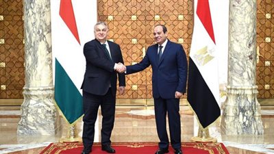 المجر تمتن لمصر.. لولا المحروسة لغرقت أوروبا في المشاكل | فيديو