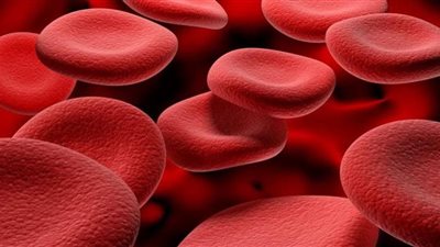 الأسباب الرئيسية لفقر الدم.. أبرزها النزيف الحاد