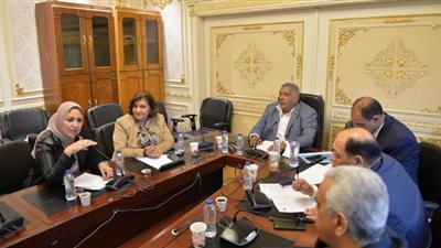 مجلس النواب يوصي بدراسة إنشاء منطقة صناعية في قنا