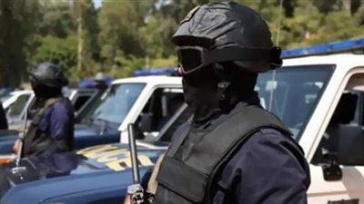 سقوط مروج فيديوهات استخراج الآثار على 