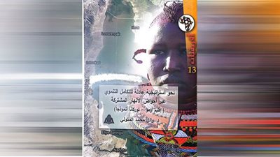 أفريقيات هيئة الكتاب تصدر «نحو استراتيجية عادلة للتكامل التنموي»