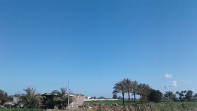 طقس دافئ في محافظة البحيرة