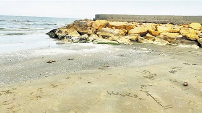 انخفاض ملحوظ أمام شواطئ بورسعيد