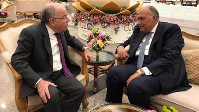 وزير الخارجية ونظيره البرازيلي يؤكدان أهمية استمرار تنشيط اتفاقية التجارة الحرة