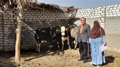 غدًا.. استعدادات لبدء الحملة القومية لتحصين المواشي بكفر الشيخ