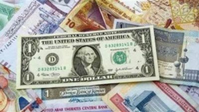 سعر الدولار مقابل الجنيه المصري في البنوك المصرية