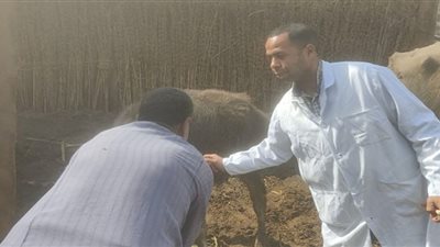 محافظ الجيزة يعلن انطلاق الحملة القومية لحماية الثروة الحيوانية