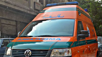 كلب ينهي حياة طفل بالقاهرة