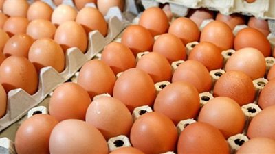 أسعار البيض اليوم الأحد في الأسواق المصرية