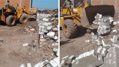 ضربات متلاحقة للمعتدين على الأراضى الزراعية بالشرقية