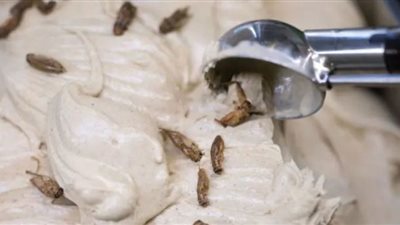 آيس كريم بالصراصير والحشرات المجففة (شاهد)