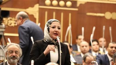 نائبة بالشيوخ تطالب الحكومة بمضاعفة جهودها لكسب ثقة المصريين بالخارج
