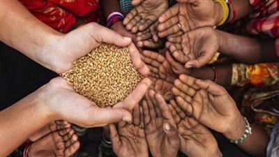 تهديدات تواجه الأمن الغذائي بالعالم.. أبرزها الحرب الروسية والتحديات المناخية