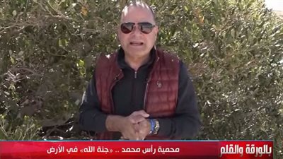 محطة تحلية مياه ربانية.. الديهي يستعرض فوائد شجرة المانجروف إحدى عجائب «رأس محمد»