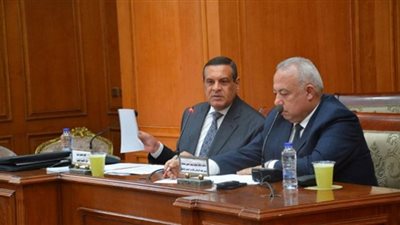 آمنة: نفّذنا مشروعات باستثمارات 325 مليار جنيه في المحافظات