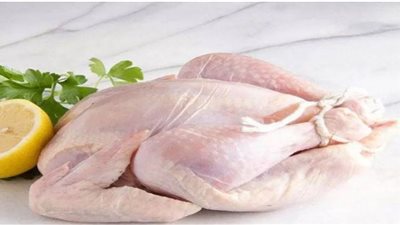 أسعار الدواجن اليوم الإثنين في الأسواق المصرية