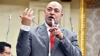 برلماني: مشروع صكوك الاطعام من أنجح مشروعات التكافل المجتمعي