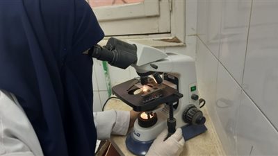 الكشف 1979 مريض بقرية ميت أبوخالد بالدقهلية