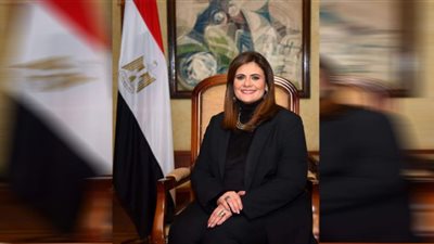 الهجرة: لا نتدخل في رواتب وحسابات المصريين بالخارج.. وتحويلاتهم ملك لهم