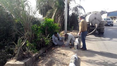 زراعة أشجار مثمرة وأخرى للزينة بمركزي مغاغة وديرمواس