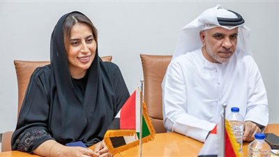 موانئ أبوظبي تبحث إمكانية الاستثمارات بمنطقة قناة السويس