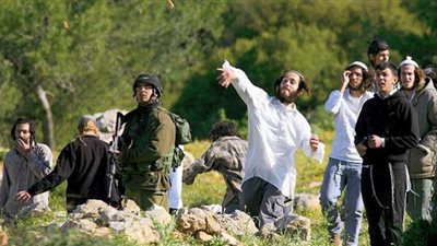 يهود متطرفون يعتدون بهمجية على ممتلكات الفلسطينيين.. شاهد