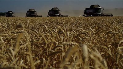 تركيا تبذل جهودًا كبيرة لتمديد صفقة الحبوب