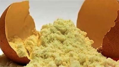 هل يوجد بيض بودرة مسلوق أو مقلي؟.. متخصص يجيب