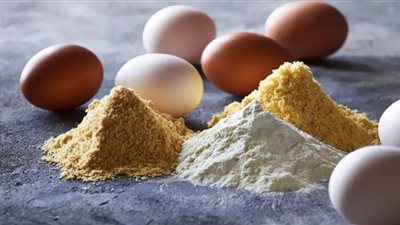 بيض البودرة.. يخضع لعملية بسترة وله فوائد عدة