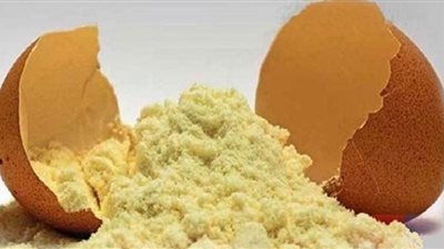استخدامات البيض البودرة