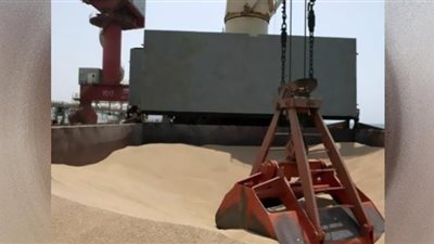 مصر تنسحب من معاهدة الحبوب الأممية